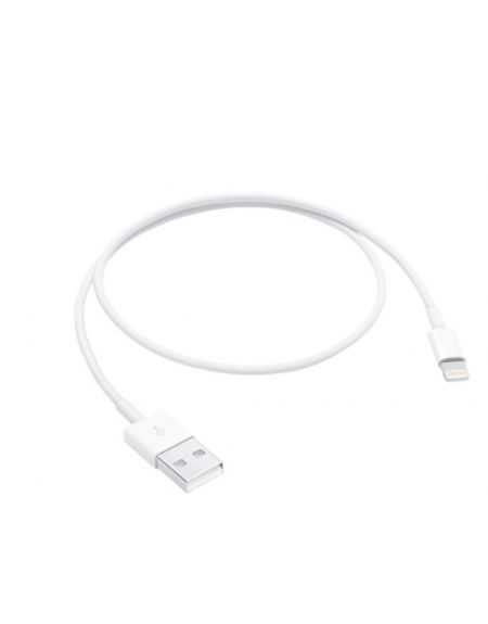  Apple ME291ZM/A Cable CHARGE/SYNC. USB/Lightning 0,5mBlanc