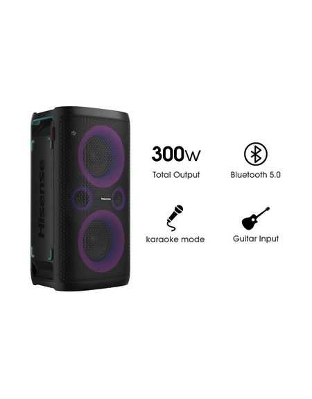 ENC BT 300W 15HB TUNER NOIR