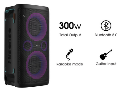 ENC BT 300W 15HB TUNER NOIR