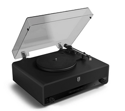 PLATINE VINYLE THE STEVIE