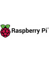 RASPBERRY Pi