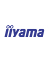 IIYAMA