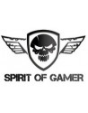 Spirit of Gamer